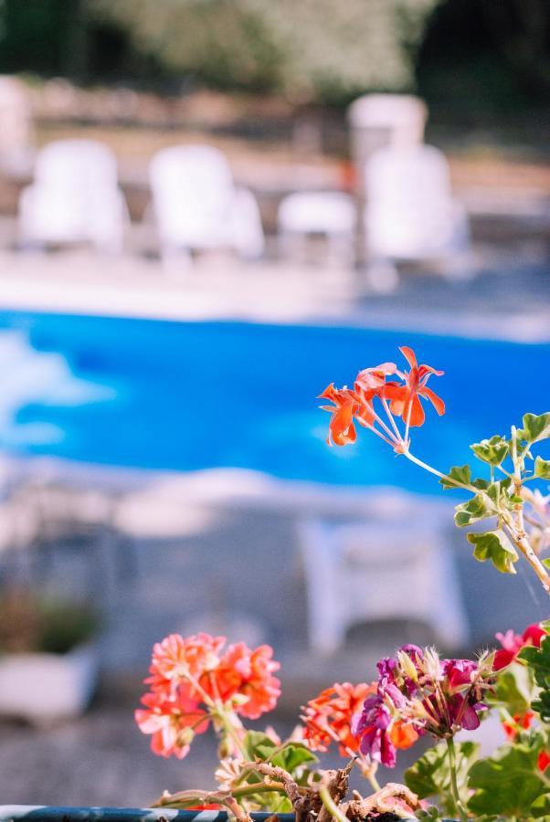 Guest House Sosi Umag Exterior photo
